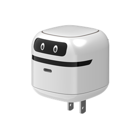 RY-GaN fast charger